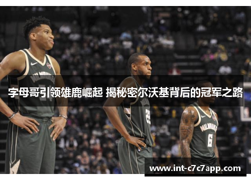 字母哥引领雄鹿崛起 揭秘密尔沃基背后的冠军之路 字母哥引领雄鹿崛起 揭秘密尔沃基背后的冠军之路